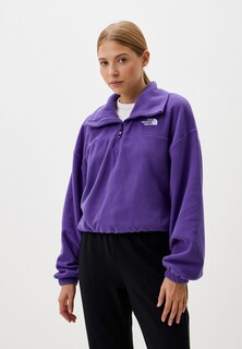 Олимпийка The North Face 100 Glacier Half Zip