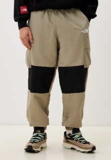 Брюки спортивные The North Face Hmlyn Track Pant
