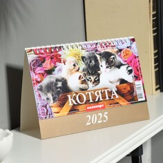 Календарь настольный, домик NO Brand