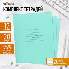 Комплект тетрадей из 20 штук, 12 листов в узкую линию бумажная фабрика Calligrata