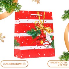 Пакет подарочный NO Brand