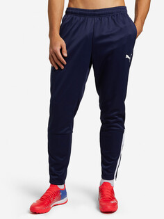 Брюки мужские PUMA Teamliga, Синий