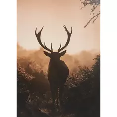 Постер Норвегия №2 25x35 см Без бренда