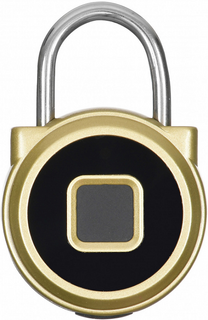 Замок Digma SmartLock R1 SLR1 навесной, золотистый
