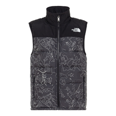 Подростковый жилет Жилет стёганный TEEN NS SYNTH VEST PT ASPHALT GREY BO The North Face
