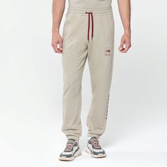 Мужские брюки Брюки M COORDINATES PANT Clay Grey The North Face