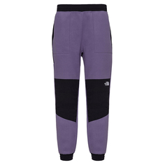 Мужские брюки Denali Pant The North Face