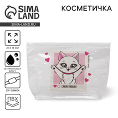Косметичка из прозрачного pvc 21 х2 х14 см Nazamok