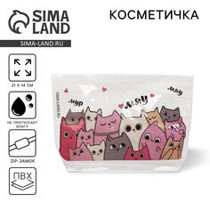 Косметичка из прозрачного pvc 21 х2 х14 см Nazamok