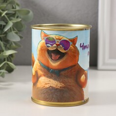 Копилка-банка металл NO Brand