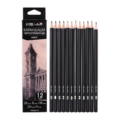 Набор карандашей чернографитных 12 штук (2шт-2в, 2шт-в, 4шт-нв, 2шт-н, 2шт-2н) Calligrata