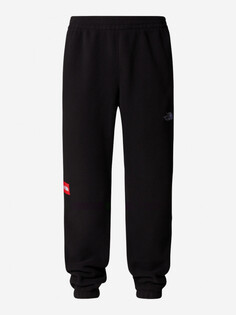 Брюки флисовые мужские The North Face Fleeski, Черный