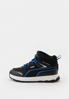 Кроссовки PUMA Evolve Trail PS