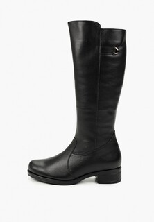 Сапоги Janita 
