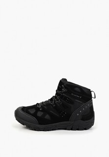 Кроссовки трекинговые Bearpaw 