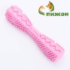 Игрушка для лакомств и сухого корма Пижон