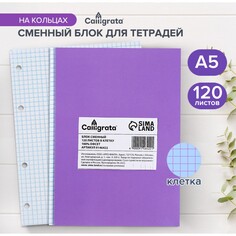 Сменный блок для тетрадей на кольцах а5, 120 листов, в клетку, calligrata, блок офсет № 160 гр/м2, белизна 100%,