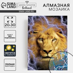 Алмазная мозаика с полным заполнением со светящимися стразами на холсте Школа талантов