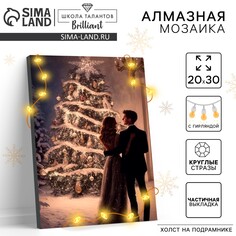 Алмазная мозаика на новый год с частичным заполнением с подрамником Школа талантов