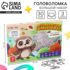 Металлическая головоломка 30 шт Puzzle
