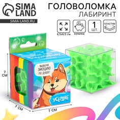 Головоломка лабиринт с шариком Puzzle