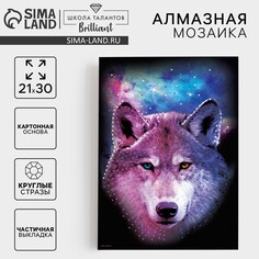 Алмазная мозаика с частичным заполнением на картонной основе Школа талантов