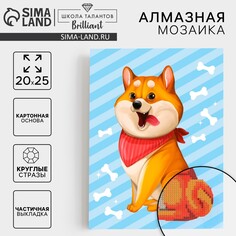 Алмазная мозаика с частичным заполнением для детей Школа талантов