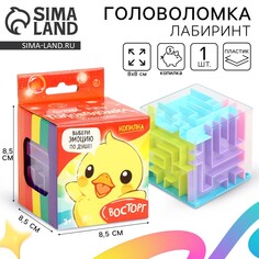 Головоломка лабиринт с шариком Puzzle