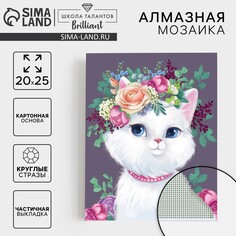 Алмазная мозаика с частичным заполнением на картонной основе Школа талантов