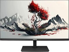 Монитор 23,8" RDW Computers RDW2401K черный 2560x1440 IPS 6ms 16:9 1000:1 250cd 178гр/178гр 75Hz HDMI DP (RUS)
