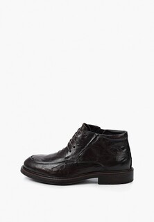 Ботинки Thomas Munz Black Полнота F (6)