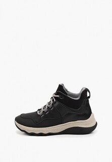 Кроссовки Clarks 