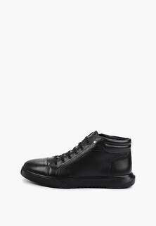 Ботинки Shoiberg 