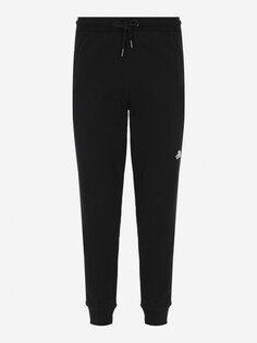 Брюки мужские The North Face Nse, Черный