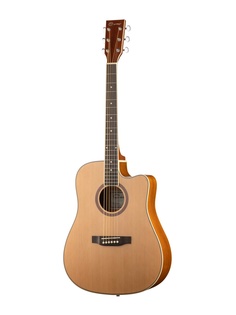 Акустические гитары Caraya F668C-N