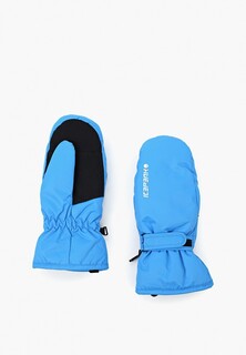 Варежки Icepeak ICEPEAK HAYSVILLE JR