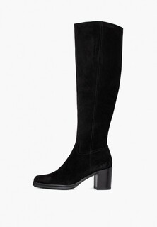 Сапоги TJ Collection 