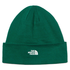 Шапка NORM BEANIE EVERGREEN The North Face