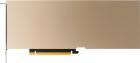 Видеокарта Nvidia Tesla A10 24GB (900-2G133-0020-000)