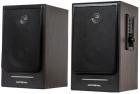 Компьютерная колонка National NAS-0240