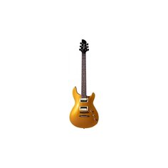 APG STD 16 VGT Fernandes