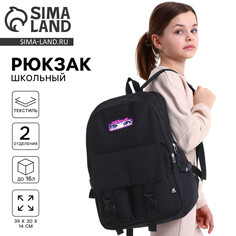 Рюкзак школьный 39х30х14 см Art Fox Study