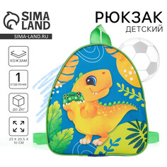Рюкзак детский для мальчика Nazamok Kids
