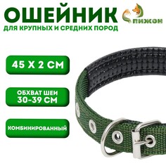 Ошейник Пижон