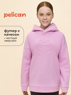 Толстовка Pelican
