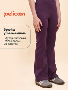Брюки Pelican