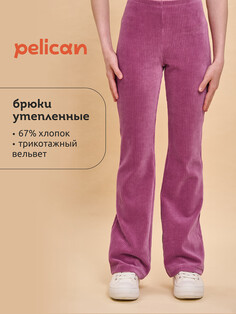 Брюки Pelican