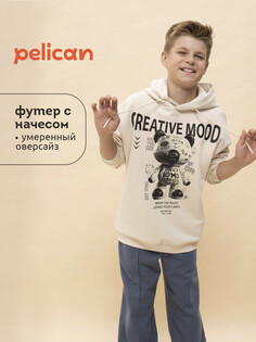 Толстовка Pelican