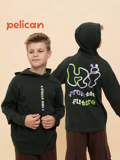 Джемпер Pelican