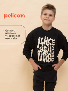 Толстовка Pelican